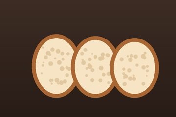 Slices of open-crumb sourdough